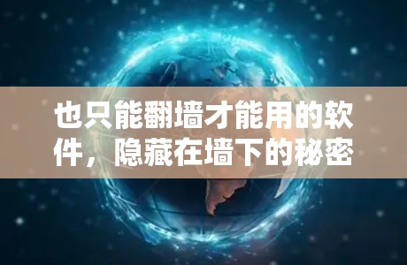 也只能翻墙才能用的软件，隐藏在墙下的秘密