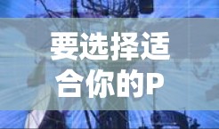 要选择适合你的PC端翻墙软件，首先需要明确你的需求和预算。以下是一些常见的PC端翻墙软件推荐，供你参考