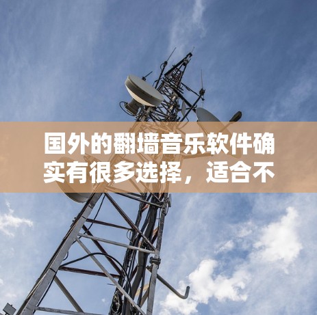 国外的翻墙音乐软件确实有很多选择，适合不同需求的用户。以下是一些推荐的国外翻墙音乐软件，供你参考