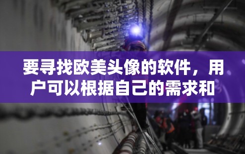要寻找欧美头像的软件，用户可以根据自己的需求和预算选择合适的工具。以下是一些推荐的软件，涵盖SEO、免费工具、适合创作的平台以及社交平台