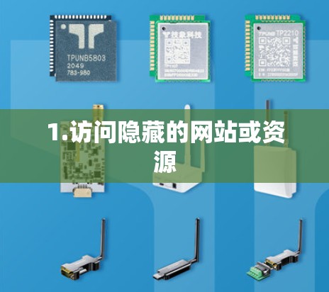 1.访问隐藏的网站或资源