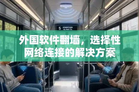 外国软件翻墙，选择性网络连接的解决方案