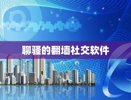 聊骚的翻墙社交软件