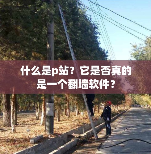 什么是p站？它是否真的是一个翻墙软件？