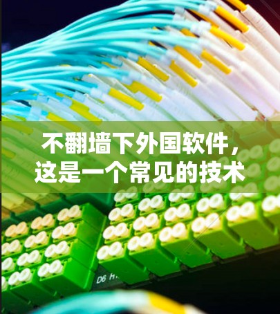 不翻墙下外国软件，这是一个常见的技术问题，涉及到安全性和兼容性。以下是一些关键点和建议