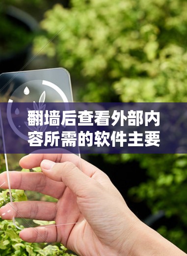 翻墙后查看外部内容所需的软件主要包括以下几种