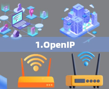1.OpenIP
