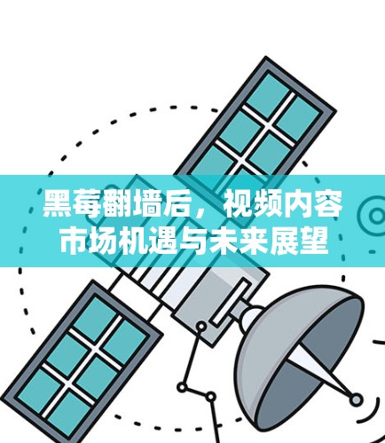 黑莓翻墙后，视频内容市场机遇与未来展望