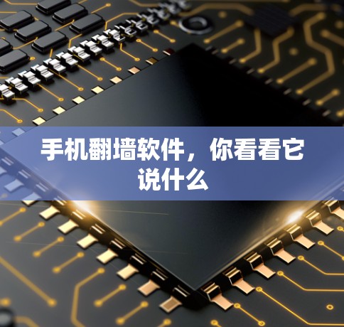 手机翻墙软件，你看看它说什么