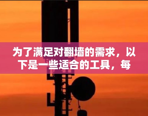 为了满足对翻墙的需求，以下是一些适合的工具，每个工具都有其特定的功能和适用场景