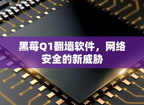 黑莓Q1翻墙软件，网络安全的新威胁