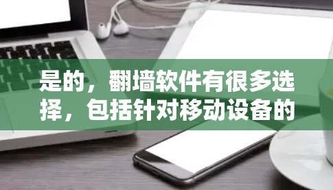 是的，翻墙软件有很多选择，包括针对移动设备的工具，适合多设备翻墙的软件，以及适合频繁翻墙的工具。以下是一些推荐，帮助你找到适合你的翻墙软件