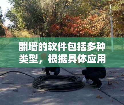 翻墙的软件包括多种类型，根据具体应用和使用场景，可能需要翻墙访问外部链接或访问特定网站。以下是常见的翻墙软件及其使用情况
