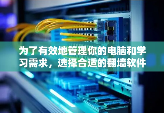 为了有效地管理你的电脑和学习需求，选择合适的翻墙软件和网络盘至关重要。以下是一个清晰的指南，帮助你做出明智的选择
