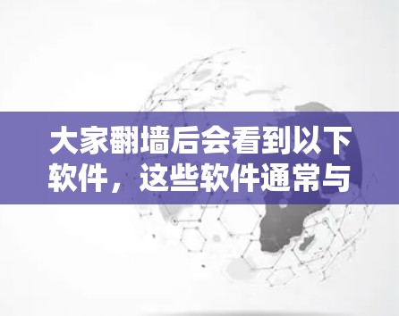 大家翻墙后会看到以下软件，这些软件通常与内部网络的管理、流量控制、网络安全和硬件优化相关