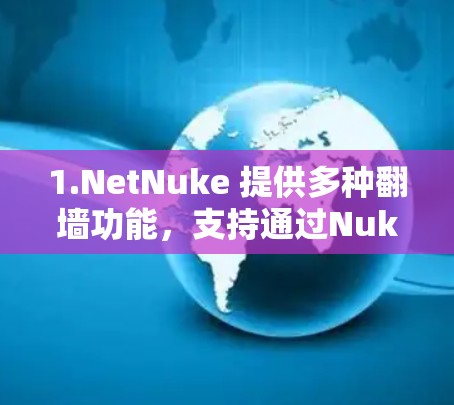 1.NetNuke 提供多种翻墙功能，支持通过Nuke工具隔离和下载任何网站，适合个人用户