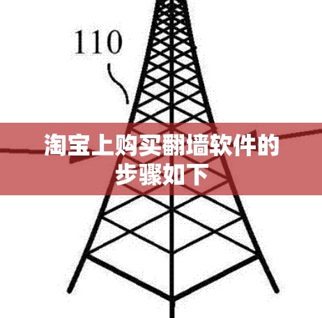 淘宝上购买翻墙软件的步骤如下