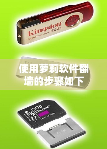使用萝莉软件翻墙的步骤如下