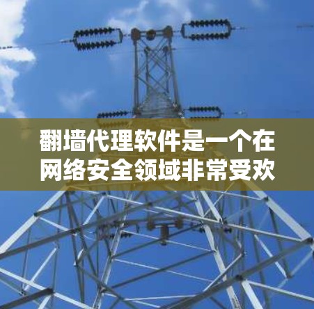 翻墙代理软件是一个在网络安全领域非常受欢迎的工具，可以帮助用户创建一个安全的网络环境。以下是一些主要的翻墙代理软件和工具，它们可以根据不同的需求和预算选择适合自己的产品