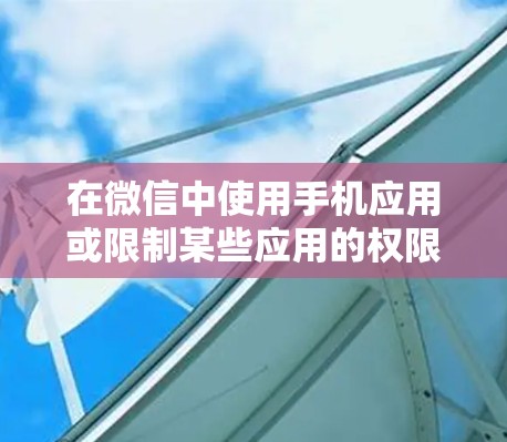 在微信中使用手机应用或限制某些应用的权限可以通过翻墙软件实现。以下是一些关键步骤和信息