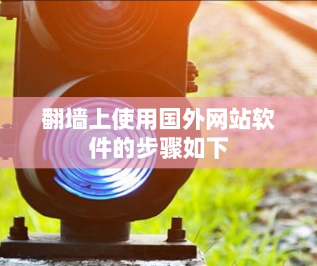 翻墙上使用国外网站软件的步骤如下