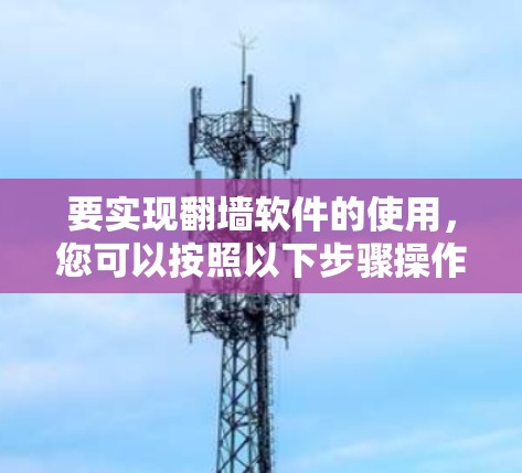 要实现翻墙软件的使用，您可以按照以下步骤操作