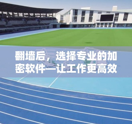 翻墙后，选择专业的加密软件—让工作更高效