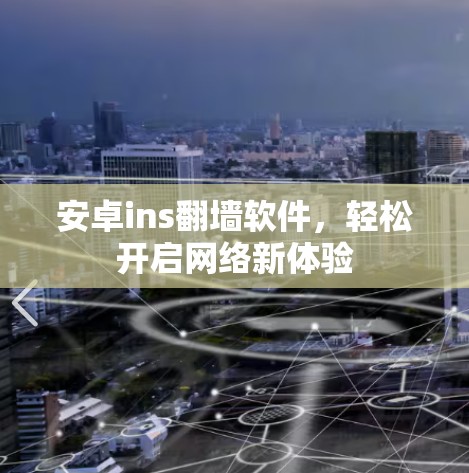 安卓ins翻墙软件，轻松开启网络新体验