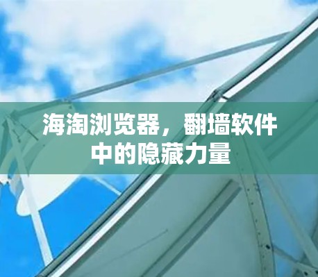 海淘浏览器，翻墙软件中的隐藏力量