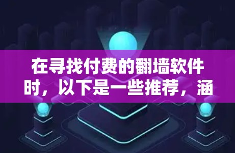 在寻找付费的翻墙软件时，以下是一些推荐，涵盖了功能全面性和体验感高的选项