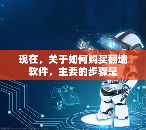 现在，关于如何购买翻墙软件，主要的步骤是