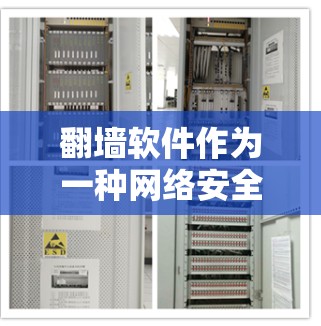 翻墙软件作为一种网络安全工具，确实具有多种功能和潜在的问题，以下是对其主要功能的详细分析