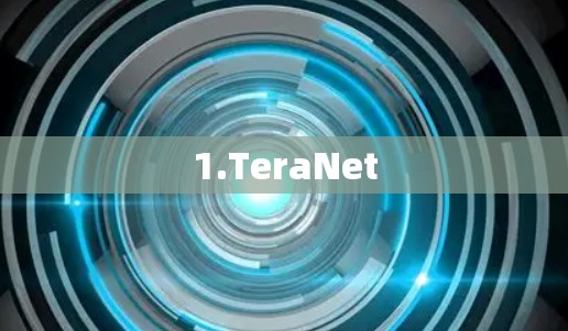 1.TeraNet