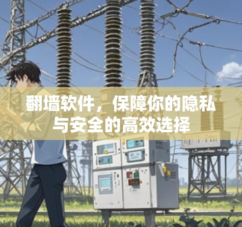 翻墙软件，保障你的隐私与安全的高效选择