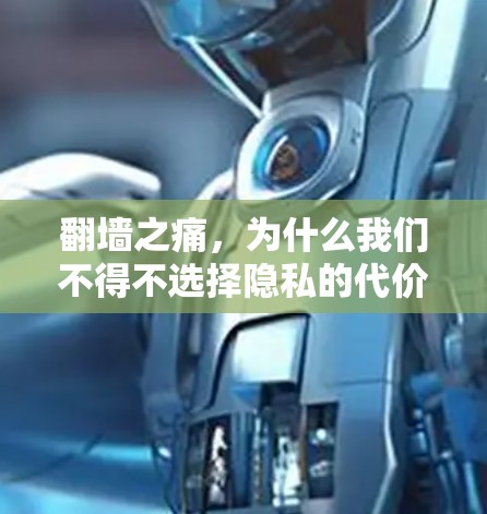 翻墙之痛，为什么我们不得不选择隐私的代价