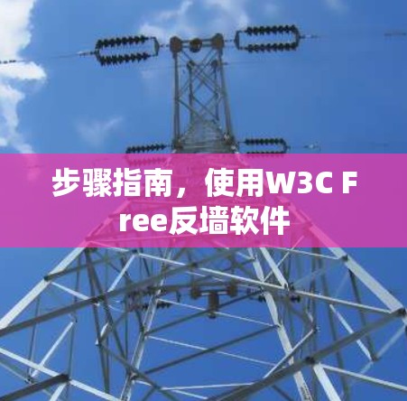 步骤指南，使用W3C Free反墙软件