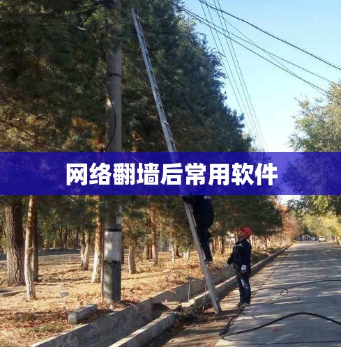 网络翻墙后常用软件