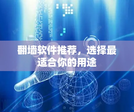 翻墙软件推荐，选择最适合你的用途