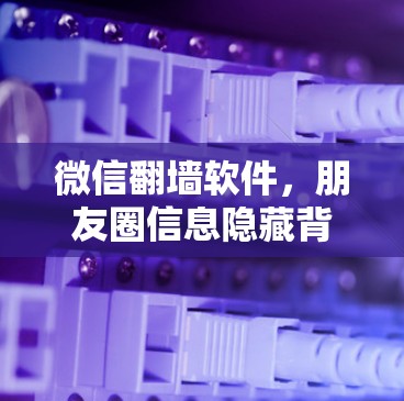 微信翻墙软件，朋友圈信息隐藏背后的隐私困境