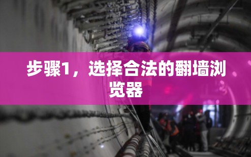 步骤1，选择合法的翻墙浏览器