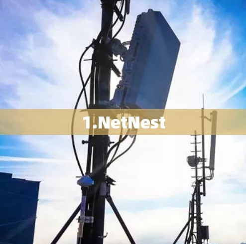 1.NetNest