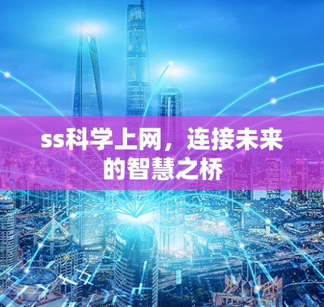 ss科学上网，连接未来的智慧之桥