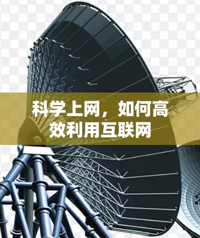 科学上网，如何高效利用互联网