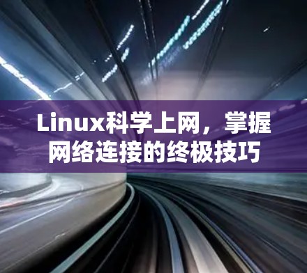 Linux科学上网，掌握网络连接的终极技巧
