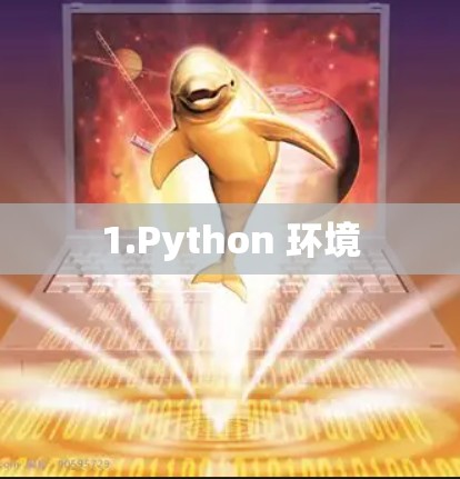 1.Python 环境