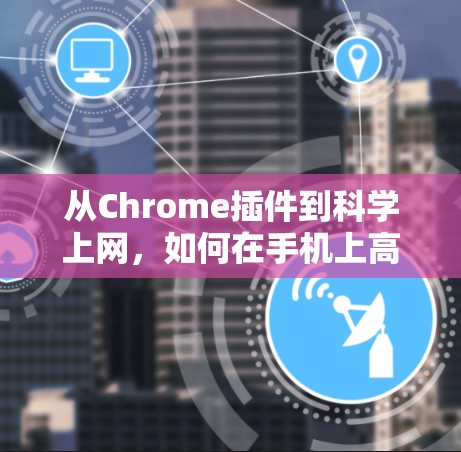 从Chrome插件到科学上网，如何在手机上高效管理数据