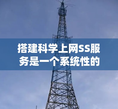 搭建科学上网SS服务是一个系统性的过程，需要遵循以下步骤