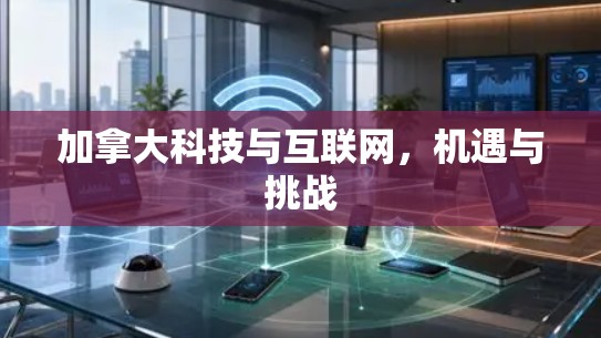 加拿大科技与互联网，机遇与挑战