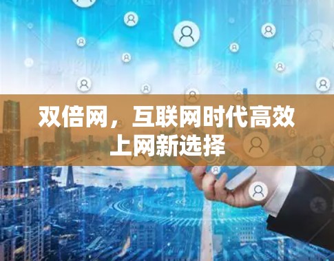 双倍网，互联网时代高效上网新选择