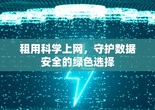 租用科学上网，守护数据安全的绿色选择